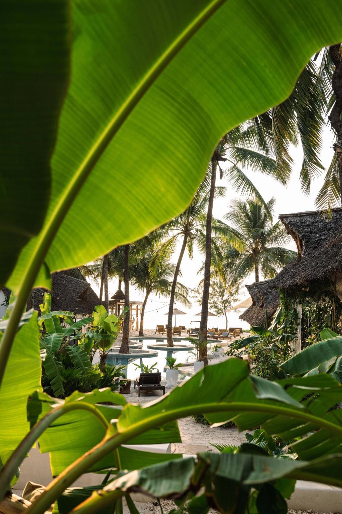 Mala Boutique Hotel Bwejuu Bagian luar foto